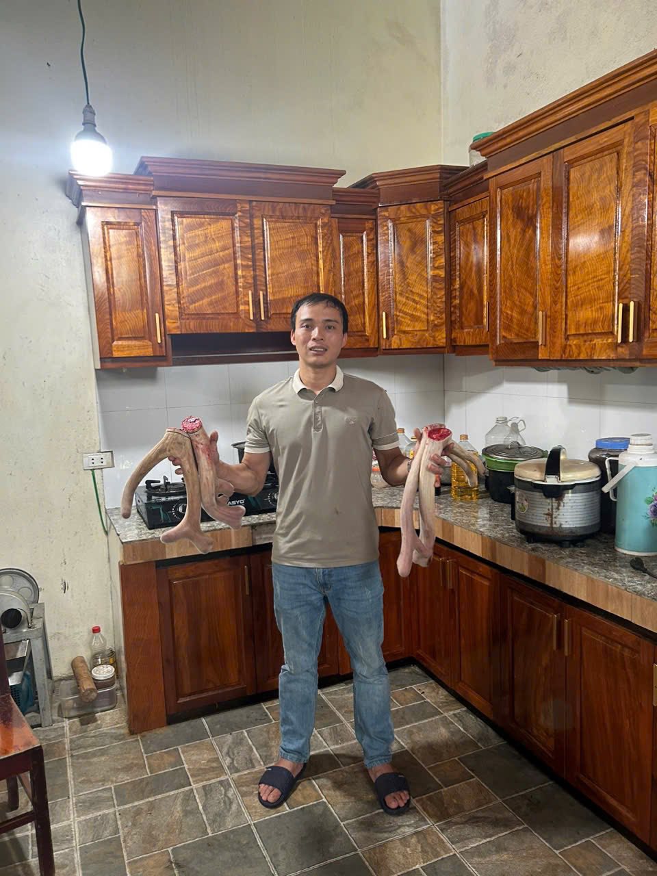 Tác dụng chữa bệnh của nhung hươu tươi 2