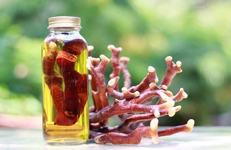 Cách ngâm nhung hươu tươi với mật ong