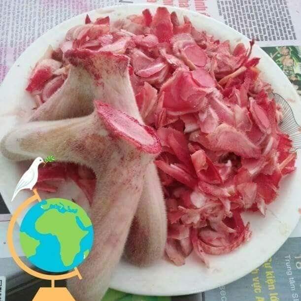 Nhung Hươu Tươi Thái Lát