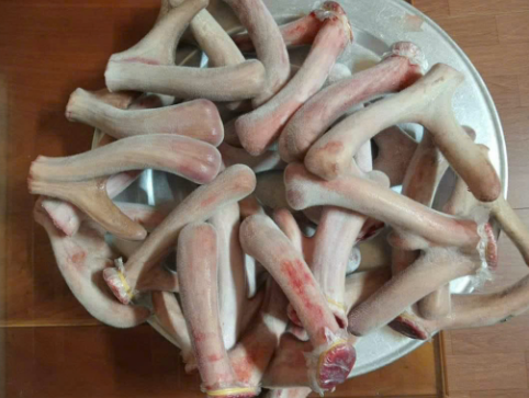 Điểm danh tác dụng của nhung hươu tươi với sức khỏe